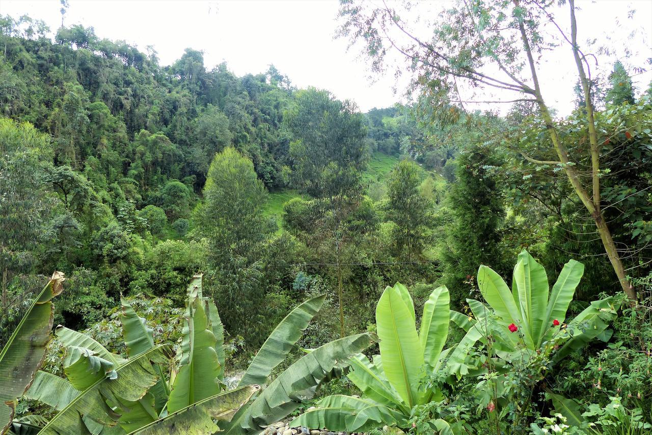 Hotel Termales Tierra Viva La Enea Ngoại thất bức ảnh